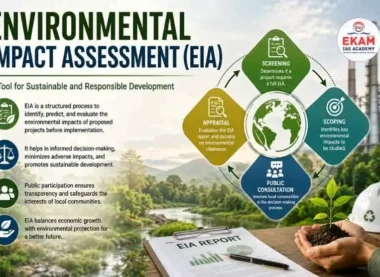 Environmental Impact Assessment