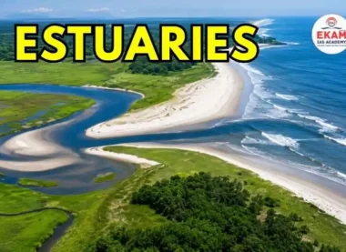 Estuaries