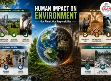 Human Impact on the Environment