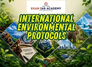 International Environmental Protocols