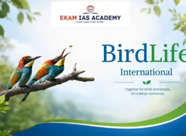 BirdLife International