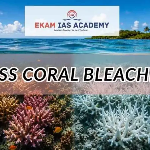 Mass Coral Bleaching