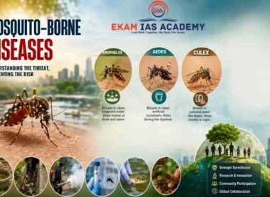Mosquito-Borne Diseases in India
