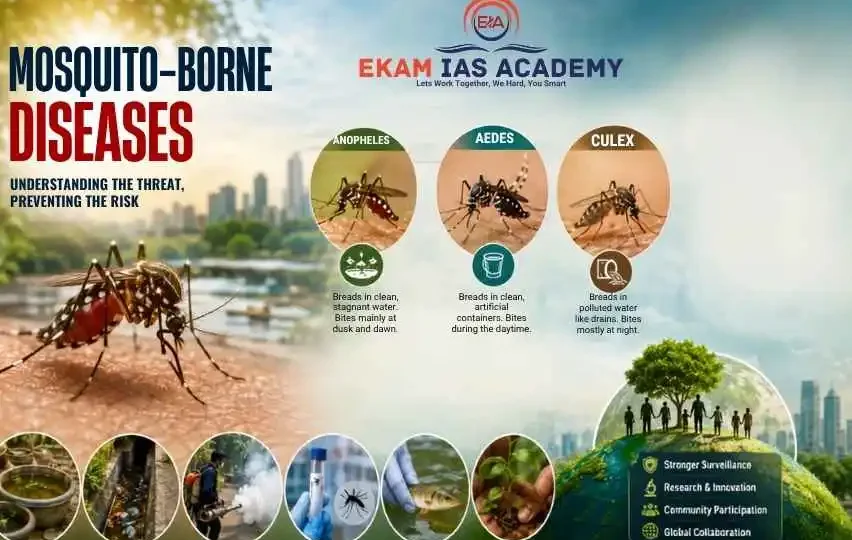 Mosquito-Borne Diseases in India