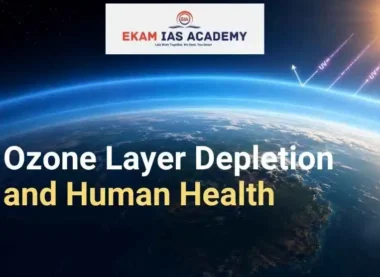 Ozone Layer Depletion and Human Health