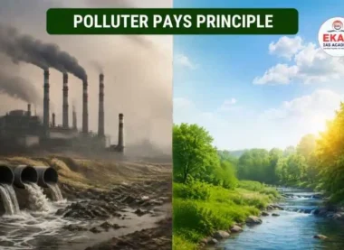Polluter Pays Principle