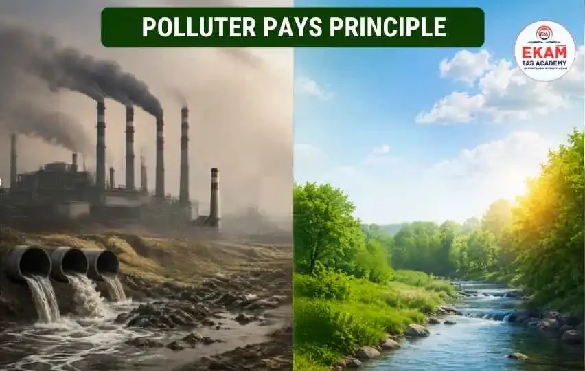 Polluter Pays Principle