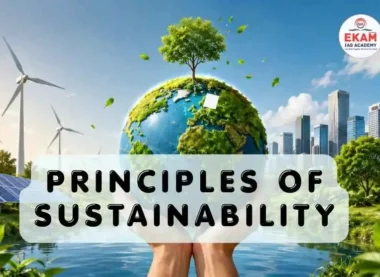 Principles of Sustainability