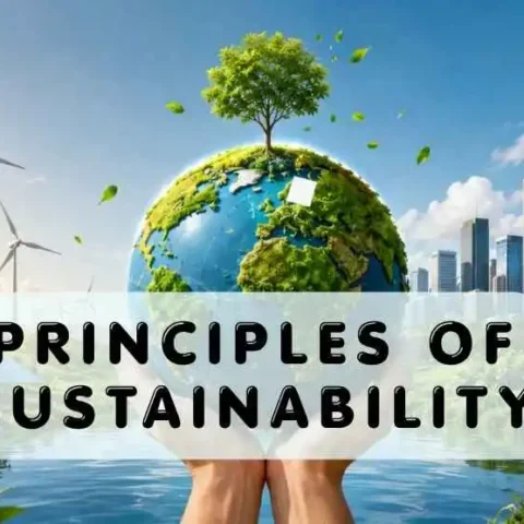Principles of Sustainability