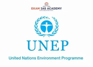UNEP