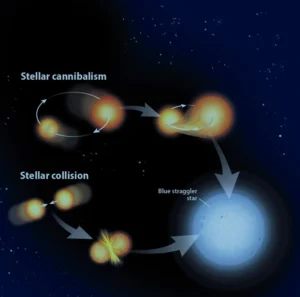 Blue Straggler Stars