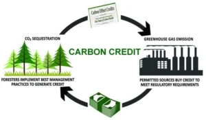 Carbon Credit Trading Scheme