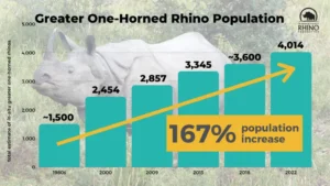 Greater Onehorned Rhinoceros