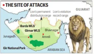 Human-Lion Conflict in Gujarat