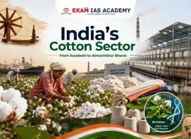 India’s Cotton Sector
