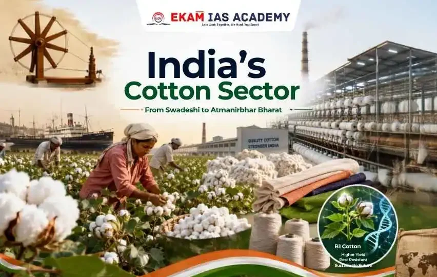 India’s Cotton Sector