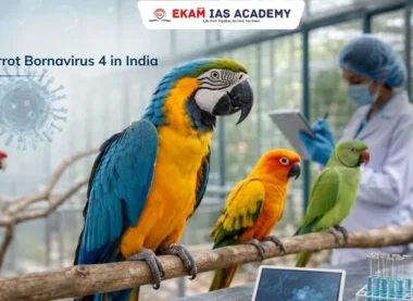 Parrot Bornavirus 4 in India