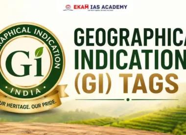 Geographical Indication