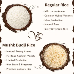 Mushk Budji