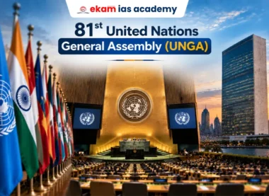 81st UNEA