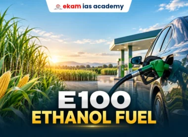 E 100 Ethanol Fuel