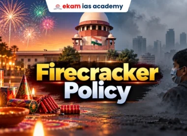 Firecracker Policy