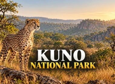 Kuno National Park