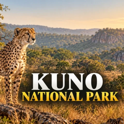 Kuno National Park