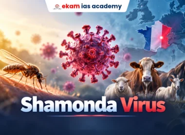 Shamonda Virus