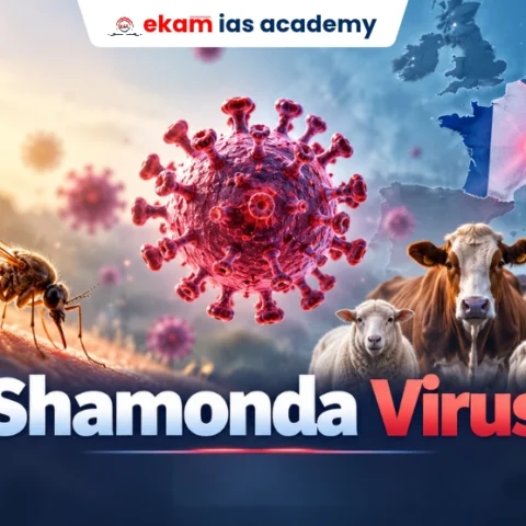 Shamonda Virus