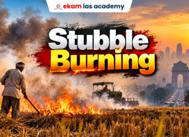 Stubble Burning