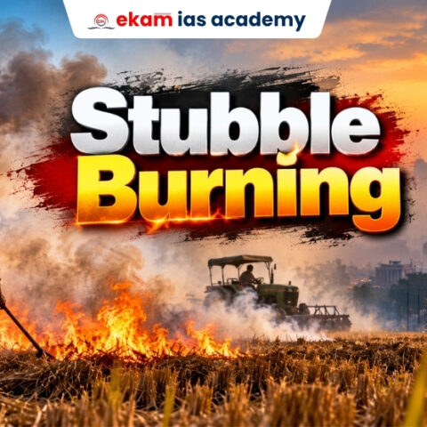 Stubble Burning